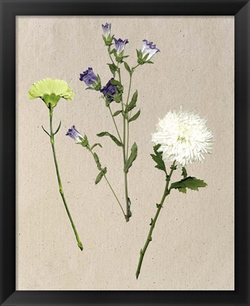 Framed Pretty Pressed Flowers I Print