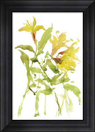 Framed Watercolor Lilies I Print