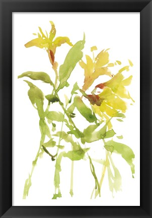 Framed Watercolor Lilies I Print