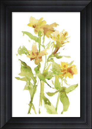 Framed Watercolor Lilies II Print
