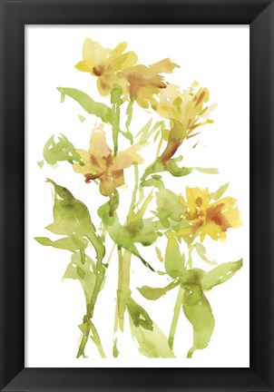 Framed Watercolor Lilies II Print