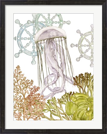 Framed Undersea Creatures III Print