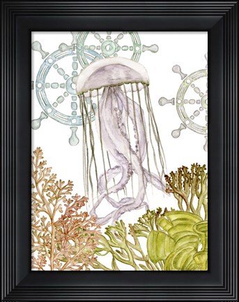 Framed Undersea Creatures III Print