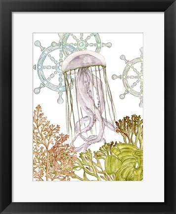 Framed Undersea Creatures III Print