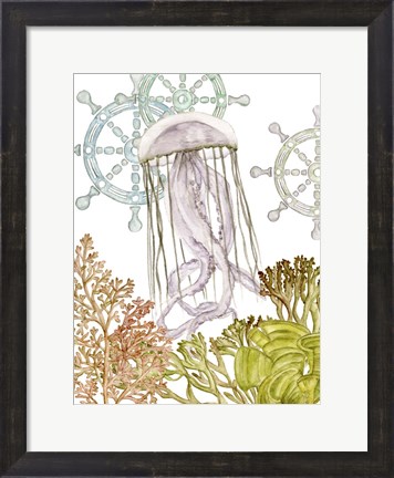 Framed Undersea Creatures III Print