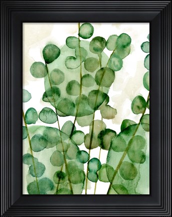 Framed Zanzibar Gem II Print
