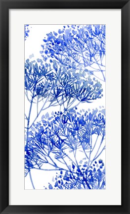 Framed Little Sapling I Print