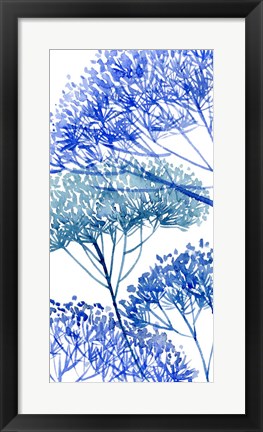 Framed Little Sapling II Print