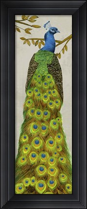 Framed Vintage Peacock I Print