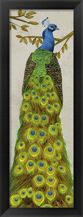 Framed Vintage Peacock I Print