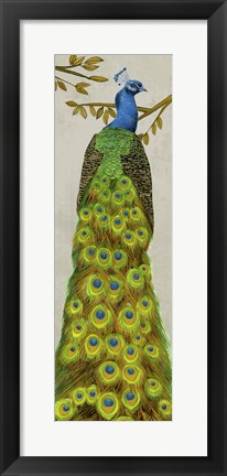 Framed Vintage Peacock I Print