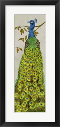 Framed Vintage Peacock II Print