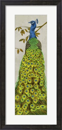 Framed Vintage Peacock II Print
