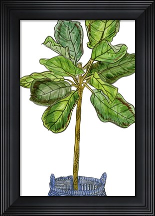 Framed Potted Jungle IV Print