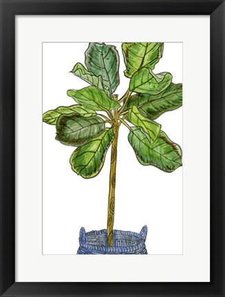 Framed Potted Jungle IV Print