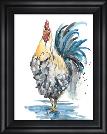 Framed Rooster Splash II Print
