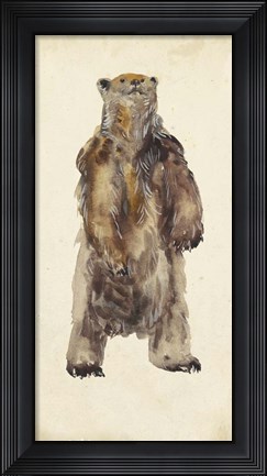 Framed Brown Bear Stare I Print