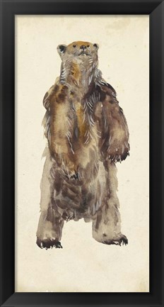 Framed Brown Bear Stare I Print