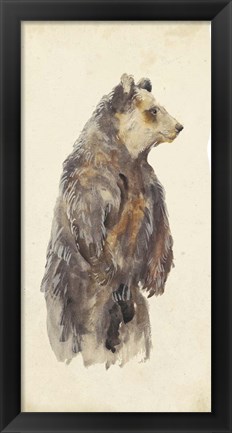 Framed Brown Bear Stare II Print