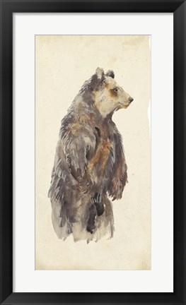 Framed Brown Bear Stare II Print