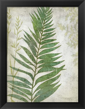 Framed Frond I Print