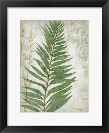 Framed Frond I Print