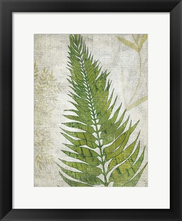 Framed Frond II Print