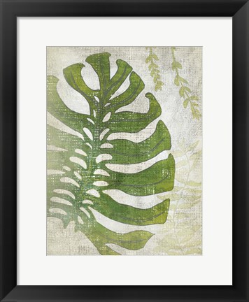 Framed Frond III Print