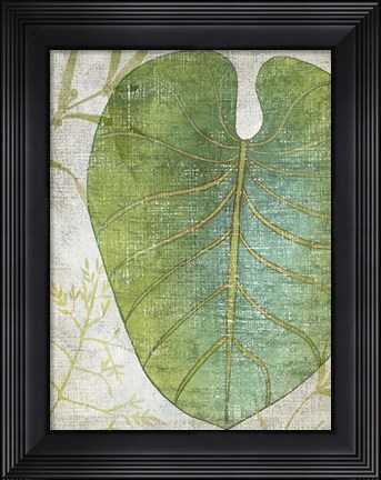 Framed Frond IV Print