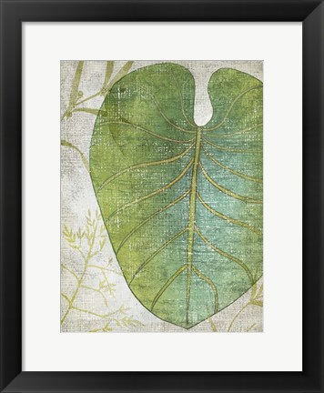 Framed Frond IV Print
