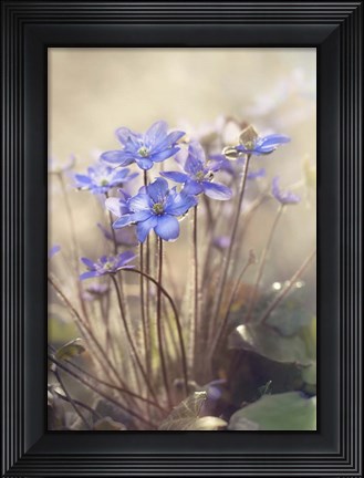 Framed Spring Print