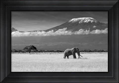 Framed Lost Colors II Print