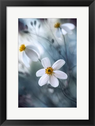 Framed Cosmos Print