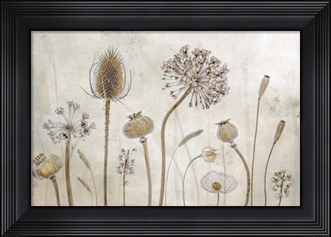 Framed Growing Old Print