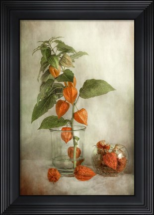 Framed Lanterns Print
