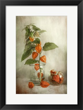 Framed Lanterns Print
