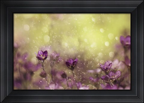 Framed Purple Dream Print