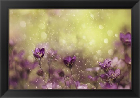 Framed Purple Dream Print