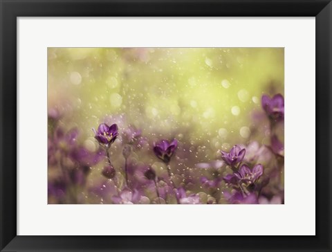 Framed Purple Dream Print