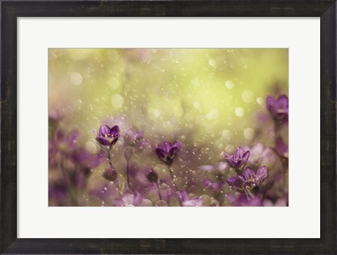 Framed Purple Dream Print