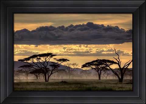 Framed Good Evening Tanazania Print