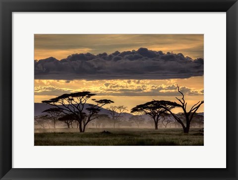 Framed Good Evening Tanazania Print