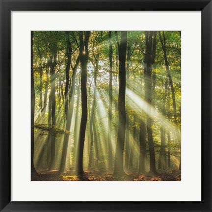 Framed Sunny Start To The Day Print