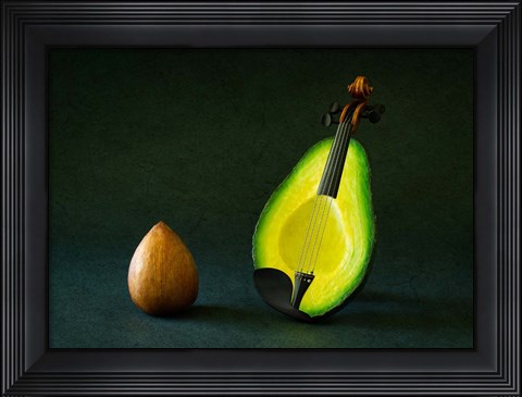 Framed Aviolin Print