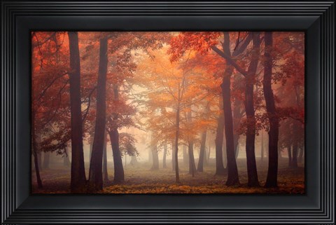 Framed Feel Print