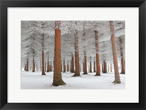 Framed In White Print