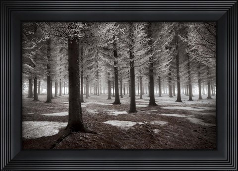 Framed Onset Of Winter Print