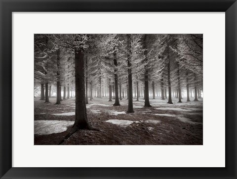 Framed Onset Of Winter Print