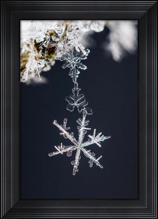 Framed Pendant Print