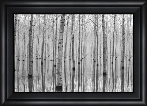 Framed Novembre 2014 Print